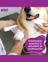 Pomada Cicatrizante para Animales HI FARMAX Omnimatrix 20gr
